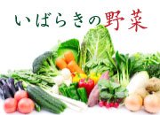 【特集】 野菜王国！いばらきの野菜