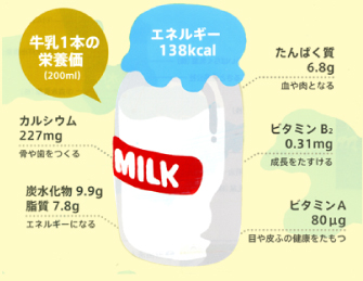 牛乳の栄養