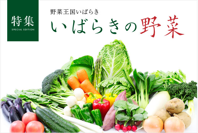 【特集】いばらきの野菜