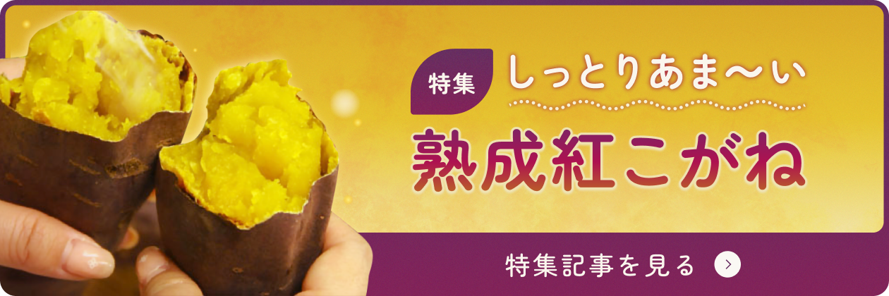 特集記事 しっとりあま～い熟成紅こがね