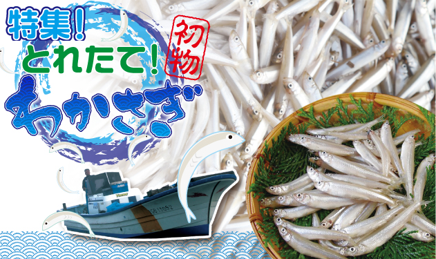 特集!とれたて!初物わかさぎ