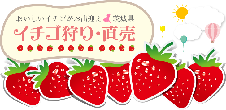 おいしいイチゴがお出迎え“茨城県”イチゴ狩り･直売