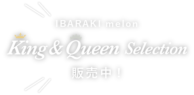 「IBARAKI melon King ＆ Queen Selection」販売中！