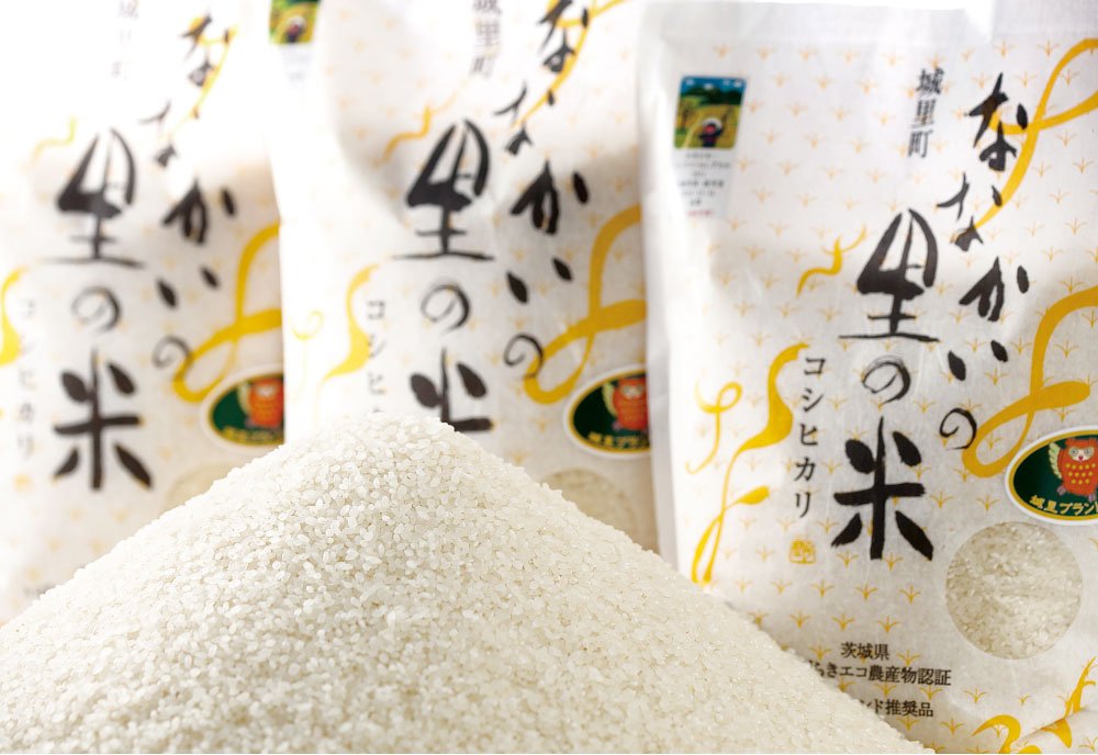 茨城県 常陸太田産こしひかり 2kg （ふるさと納税 【令和6年産