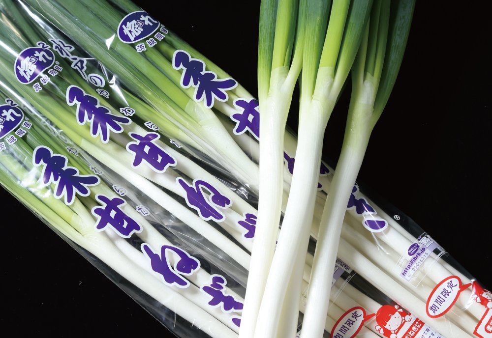 ねぎ | いばらきの農林水産物 | 茨城をたべよう 食と農の