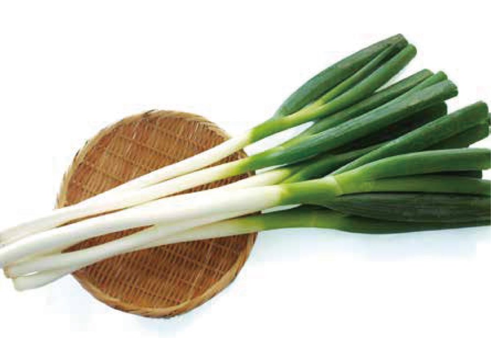 ねぎ | いばらきの農林水産物 | 茨城をたべよう 食と農のポータルサイト