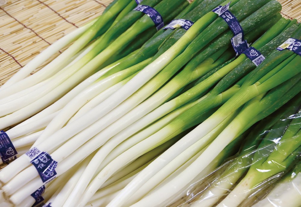 茨城県産 長ネギ 15キロ 茨城県産長ネギ Sサイズ5kg：茨城県産のねぎ｜食べチョク｜産地