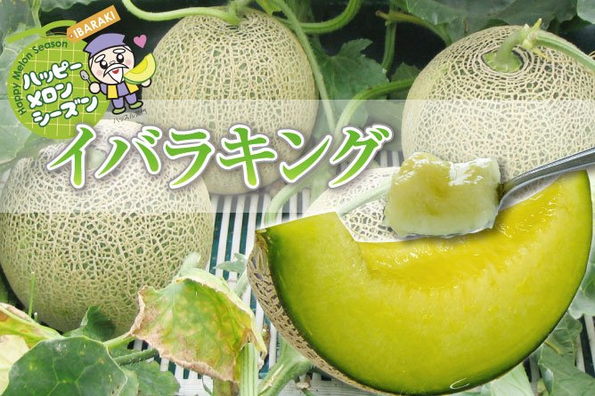 第20回　茨城を食べよう連動プレゼント企画　【いばらきのメロン】