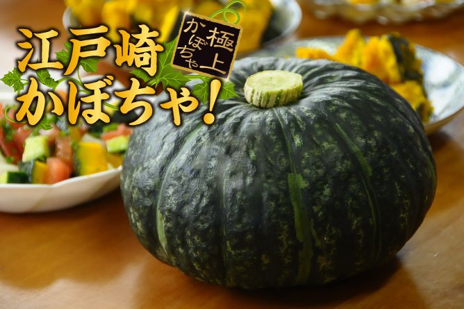 第205回プレゼント　【江戸崎かぼちゃ】