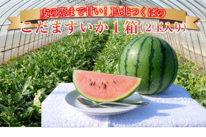 第206回プレゼント シャリ感抜群!皮の際まで甘い!【こだますいか】