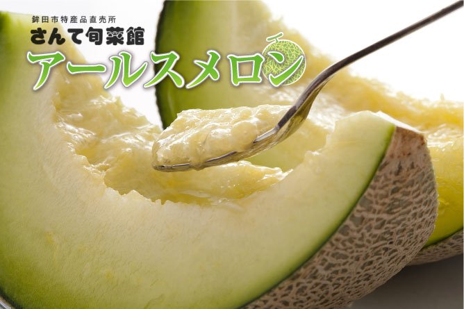 第22回茨城をたべよう連動プレゼント企画　さんて旬菜館【アールスメロン】