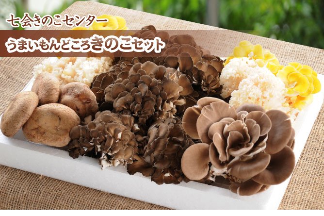 第215回プレゼント七会きのこセンター【うまいもんどころきのこセット】