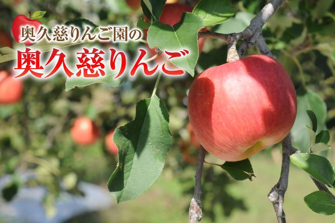 第221回プレゼント 奥久慈りんご園の【りんご】