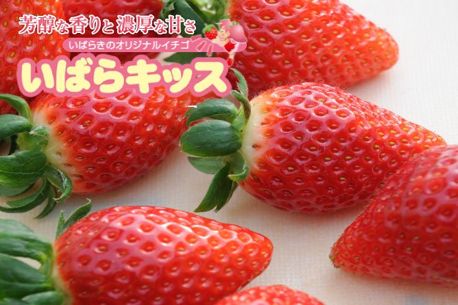 第28回茨城を食べよう連動プレゼント企画 【いばらキッス】