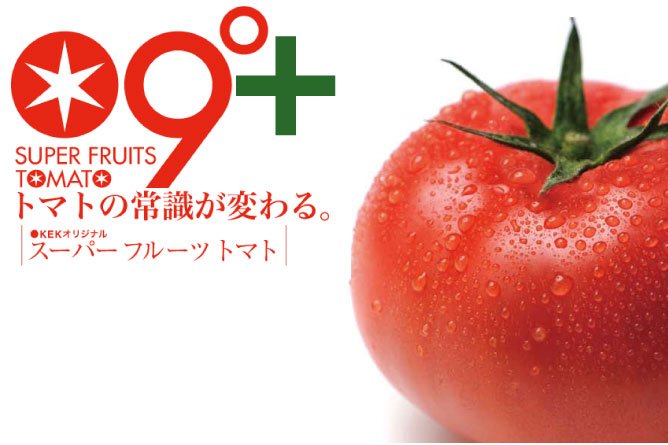 第233回プレゼント 大玉で高糖度!【スーパーフルーツトマト】