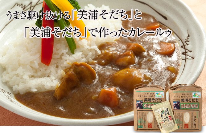 うまさ駆け抜ける 【「美浦そだち」と「美浦そだち」で作ったカレールゥ】