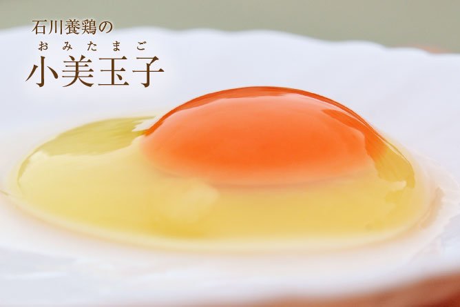 第245回プレゼント ぷるっと新鮮で濃厚な味わい【小美玉子(おみたまご)】