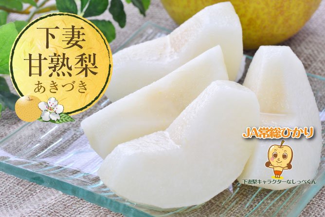 第35回茨城をたべよう連動プレゼント 甘くてジューシー!【下妻甘熟梨】