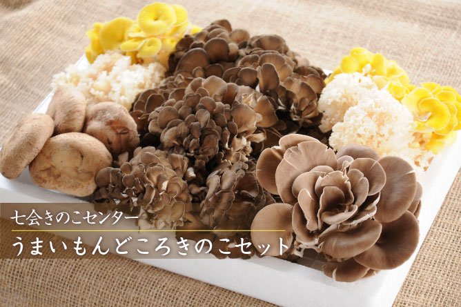 第253回プレゼント 七会きのこセンター【うまいもんどころきのこセット】