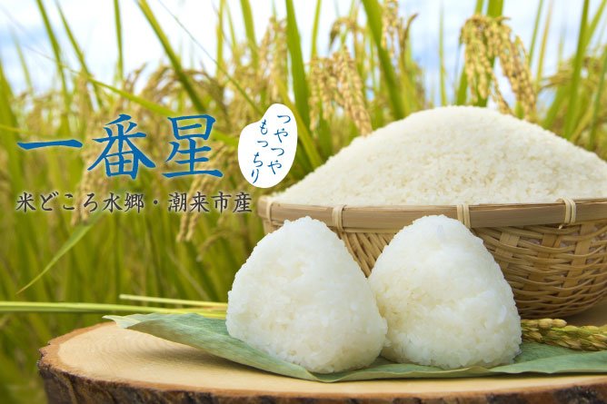 第36回茨城をたべよう連動プレゼント企画　つやつや！もっちり♪【一番星】