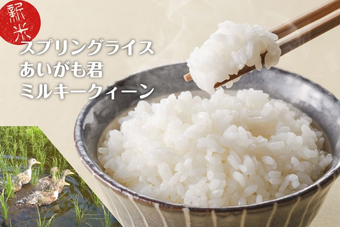 第256回プレゼント 森ファームの【スプリングライスあいがも君ミルキークィーン】