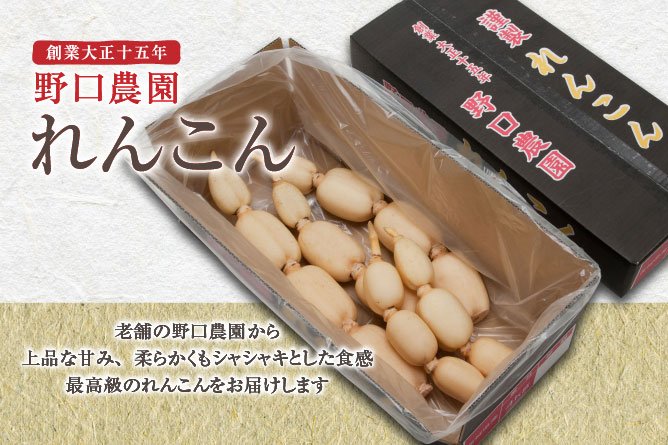 第259回プレゼント 野口農園の【れんこん】