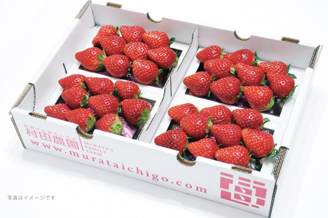 第52回茨城をたべよう連動プレゼント企画 村田農園の【イチゴ】
