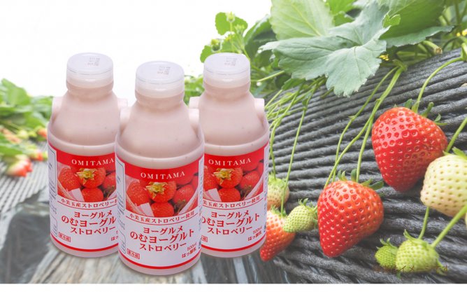 第306回プレゼント企画 小美玉ふるさと食品公社【のむヨーグルトストロベリー】