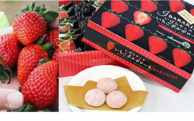 第307回プレゼント企画 JA水戸【いばらキッス いちごポルボローネ】