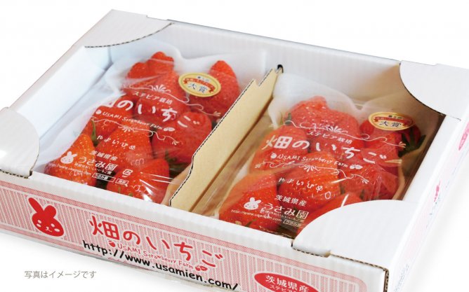 第54回茨城をたべよう連動プレゼント企画 茨城いちごグランプリ2017大賞受賞【うさみ園のいちご】