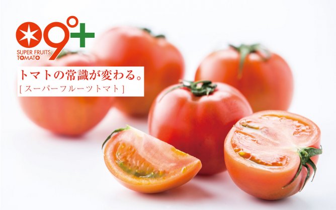 第55回茨城をたべよう連動プレゼント企画 大玉で高糖度!【スーパーフルーツトマト】