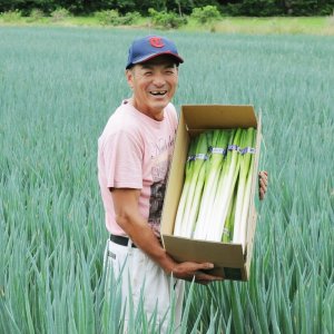 ねぎ | いばらきの農林水産物 | 茨城をたべよう 食と農の