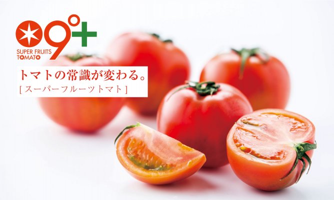 第386回プレゼント企画 大玉で高糖度!【スーパーフルーツトマト】