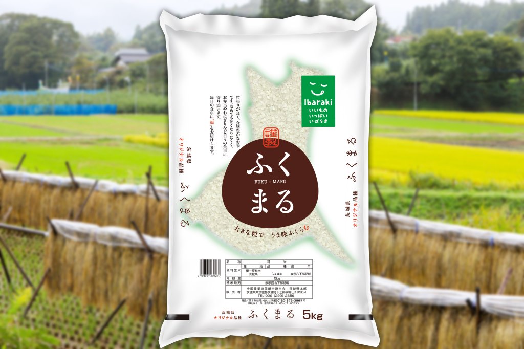 第480回プレゼント企画 茨城県オリジナル品種のお米【ふくまる】