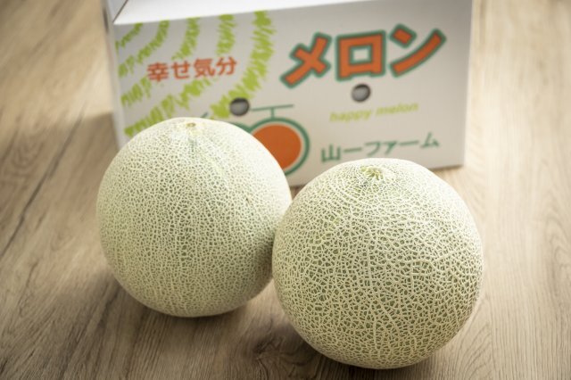 PRESENT 今月のプレゼント