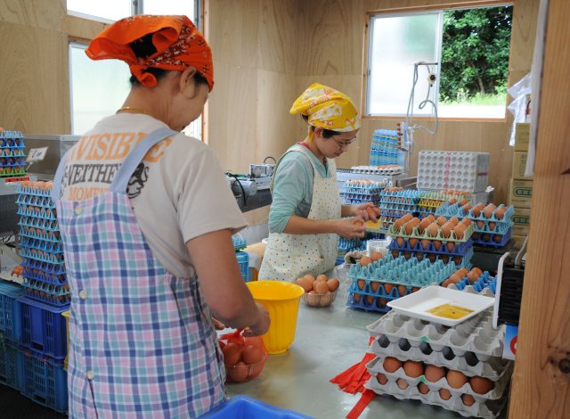 生産者
