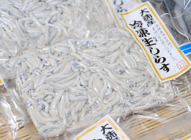 大洗産冷凍生しらす