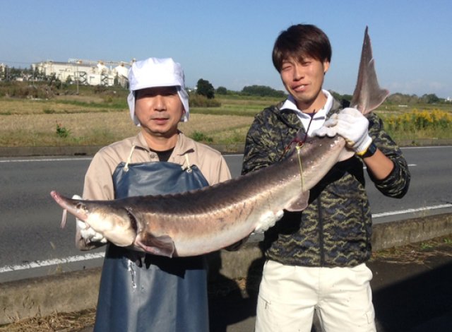 つくばスタージョン