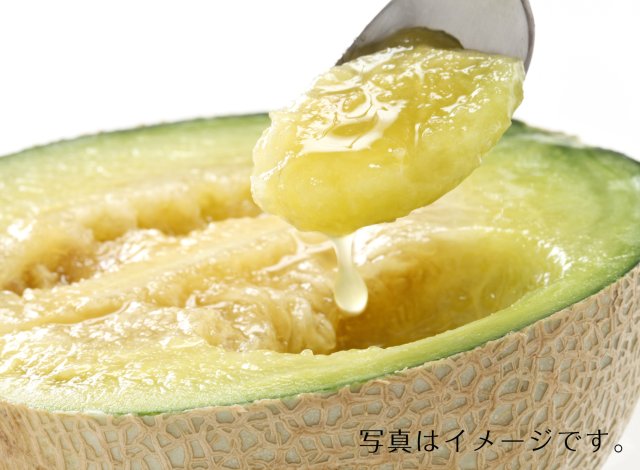 青肉メロンイメージ