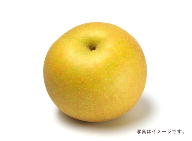 梨イメージ