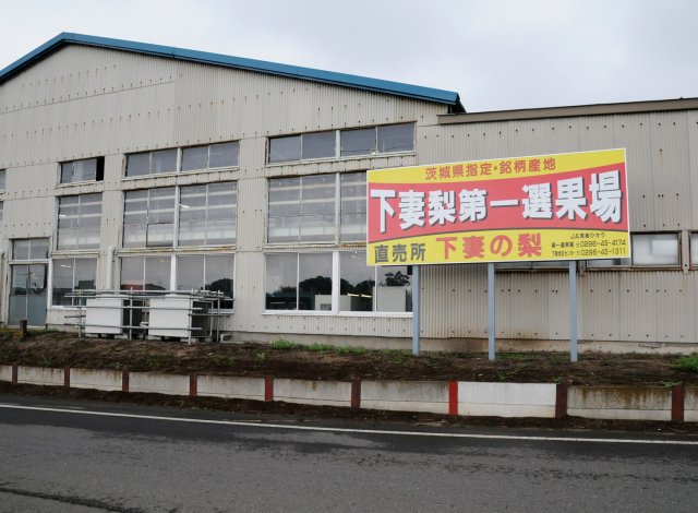 下妻梨第一選果場