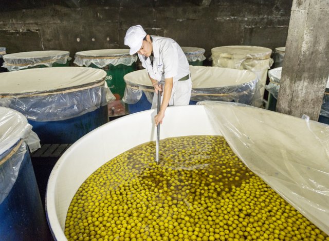 明利酒類　梅酒製造工程