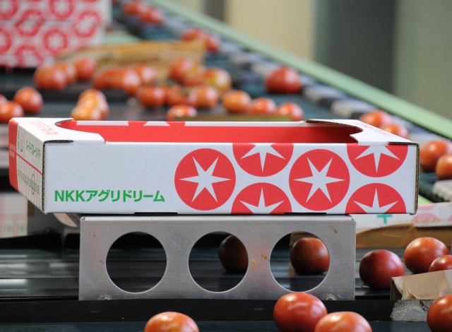 スーパーフルーツトマトの秘密