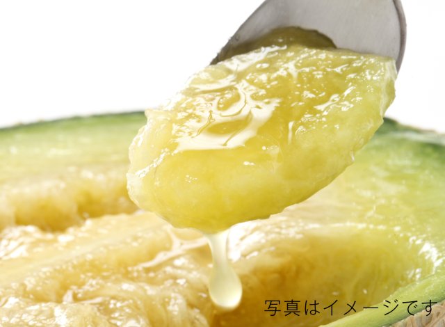 メロンイメージ