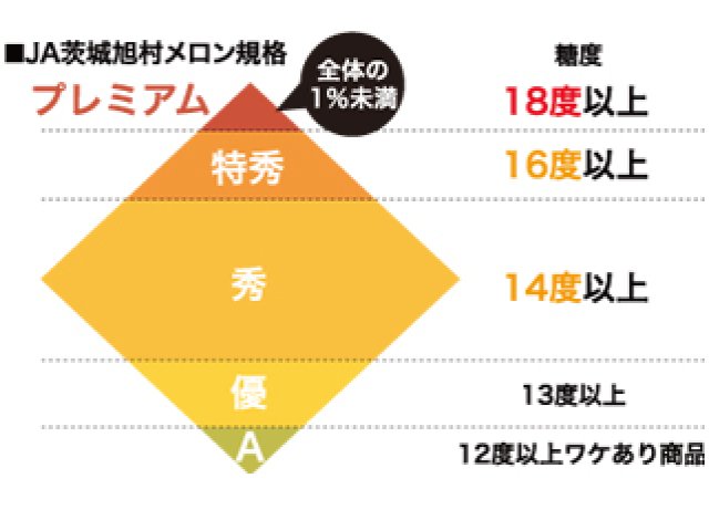 JA茨城旭村　メロンの規格表