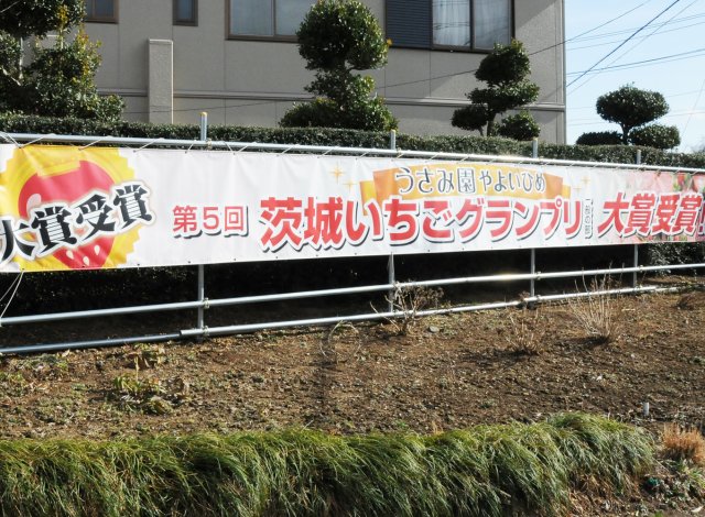 第5回茨城いちごグランプリ大賞受賞の横断幕