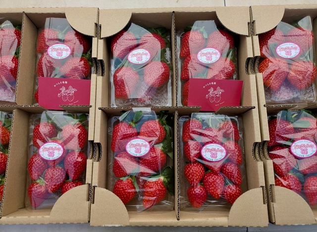 いちごイメージ