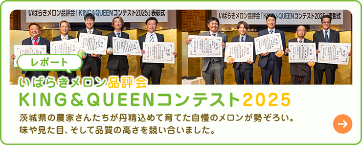 いばらきメロン品評会 KING＆QUEENコンテスト2025