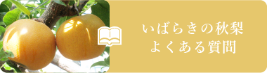 いばらきの秋梨 よくある質問