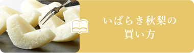 いばらきの秋梨 買い方